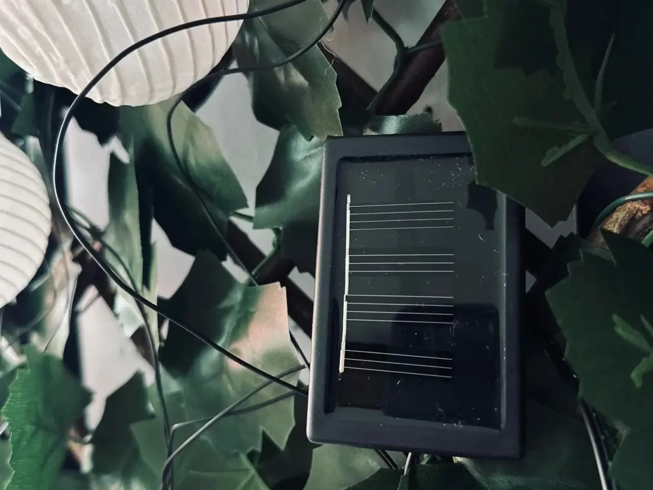 Billede 3 - Rislampe lyskæde