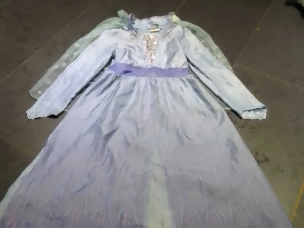 Billede 3 - Frost Kostume