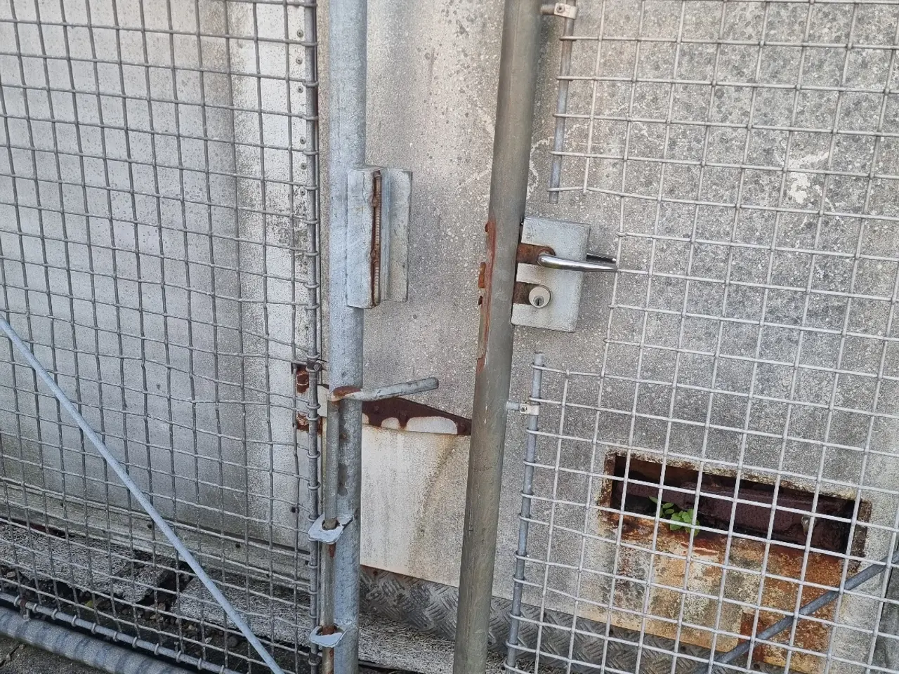 Billede 3 - Gitterport med stolper