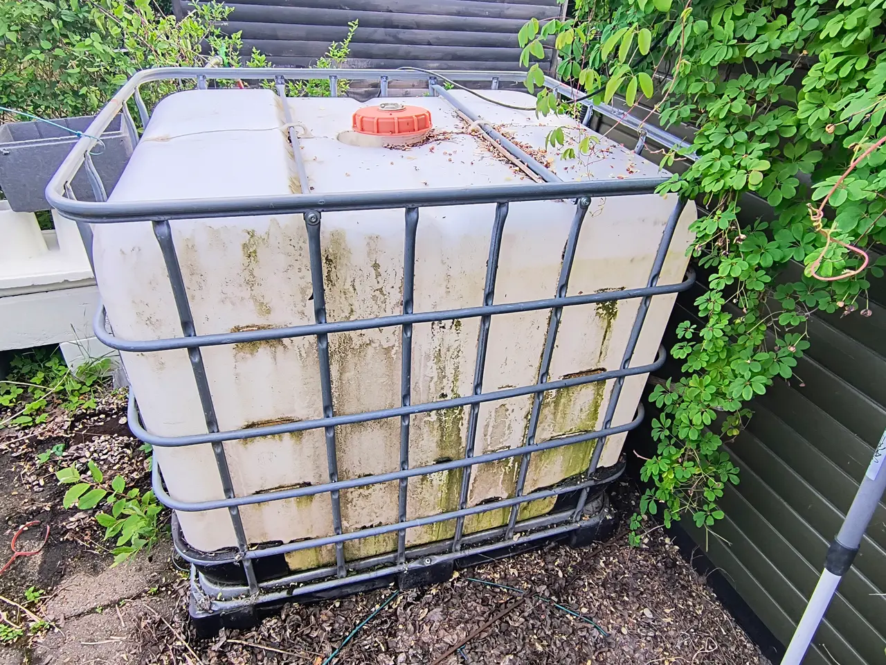 Billede 2 - IBC Palletank/Mauser gives bort