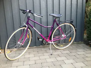 Testro 28" - 7 gear