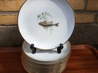 8 fisketallerkener