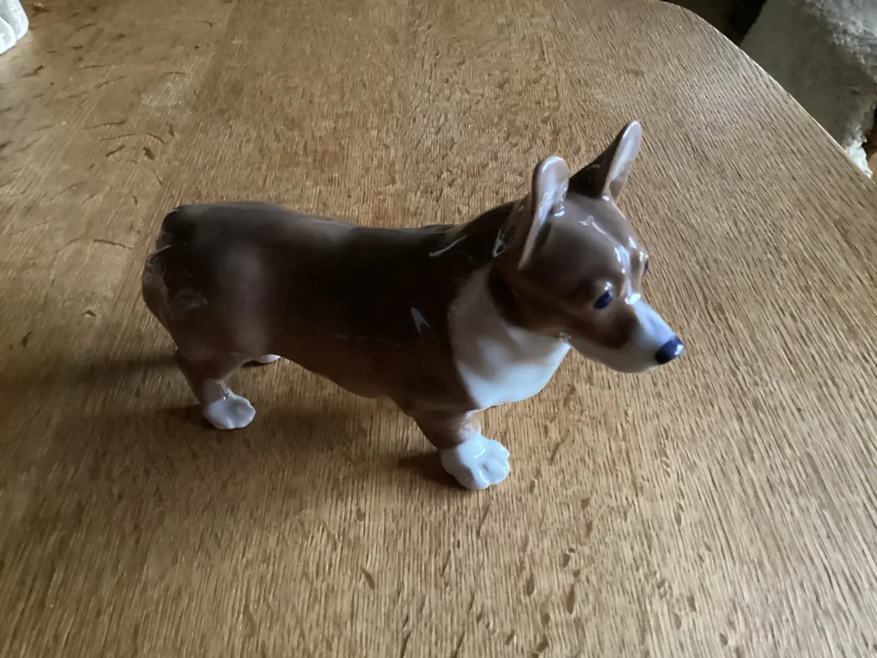 Billede 1 - Kgl Gorki hund af Jeanne Grut