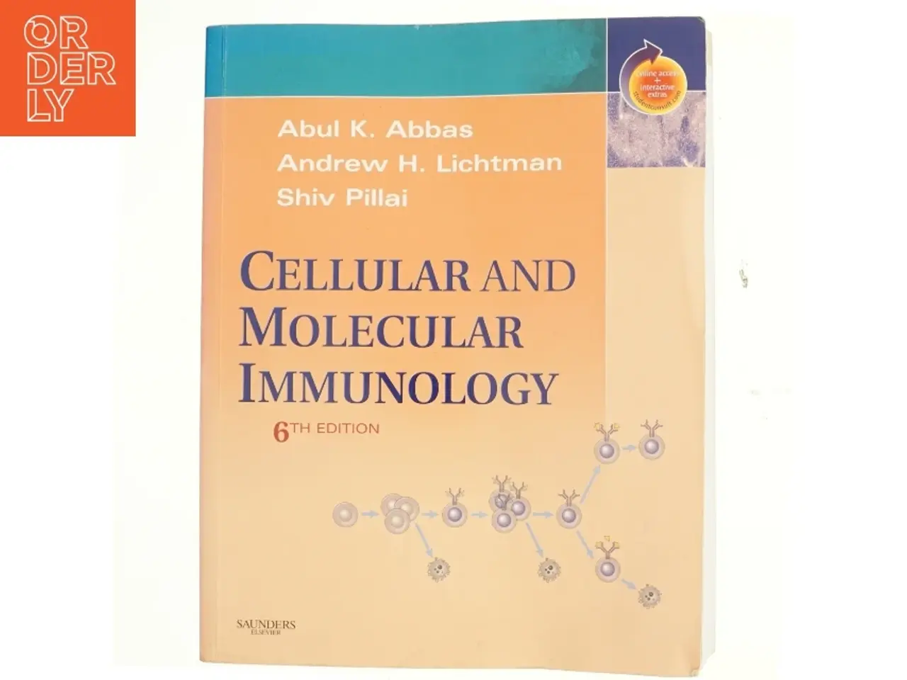 Billede 1 - Cellular and molecular immunology (Bog)