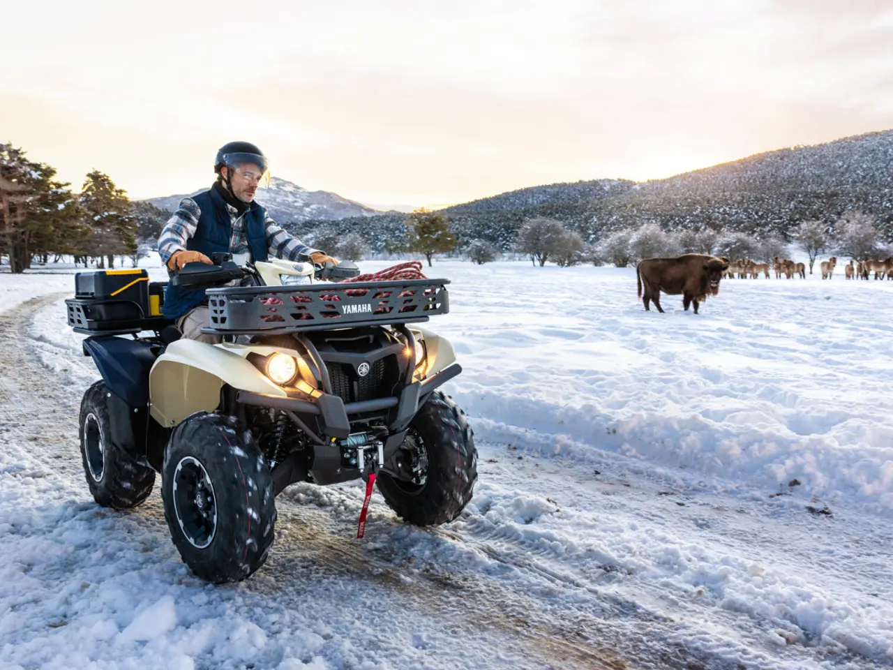 Billede 2 - Yamaha Kodiak 700 EPS Kiwami - Traktor