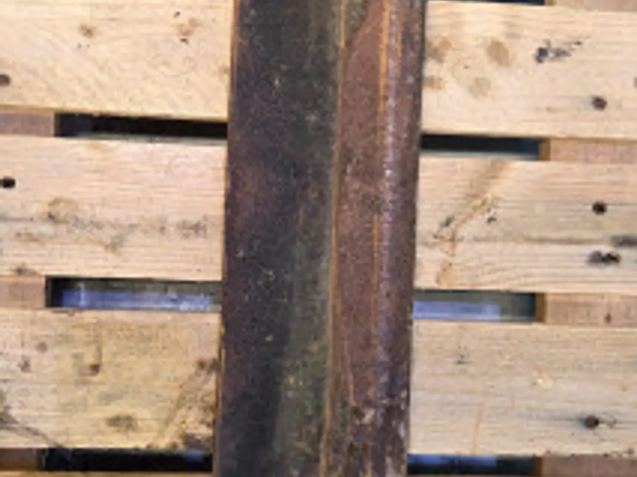 Billede 10 - Claas Jaguar 850 Plade 3244240