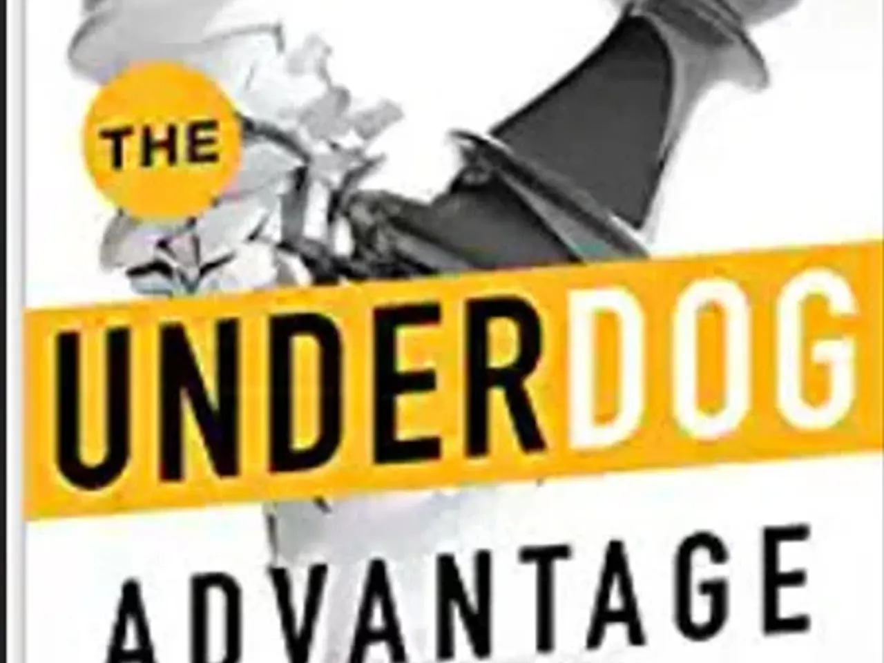 Billede 1 - The Underdog Advantage