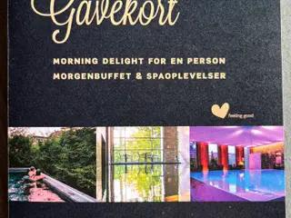 Gavekort Hotel Vejlefjord 