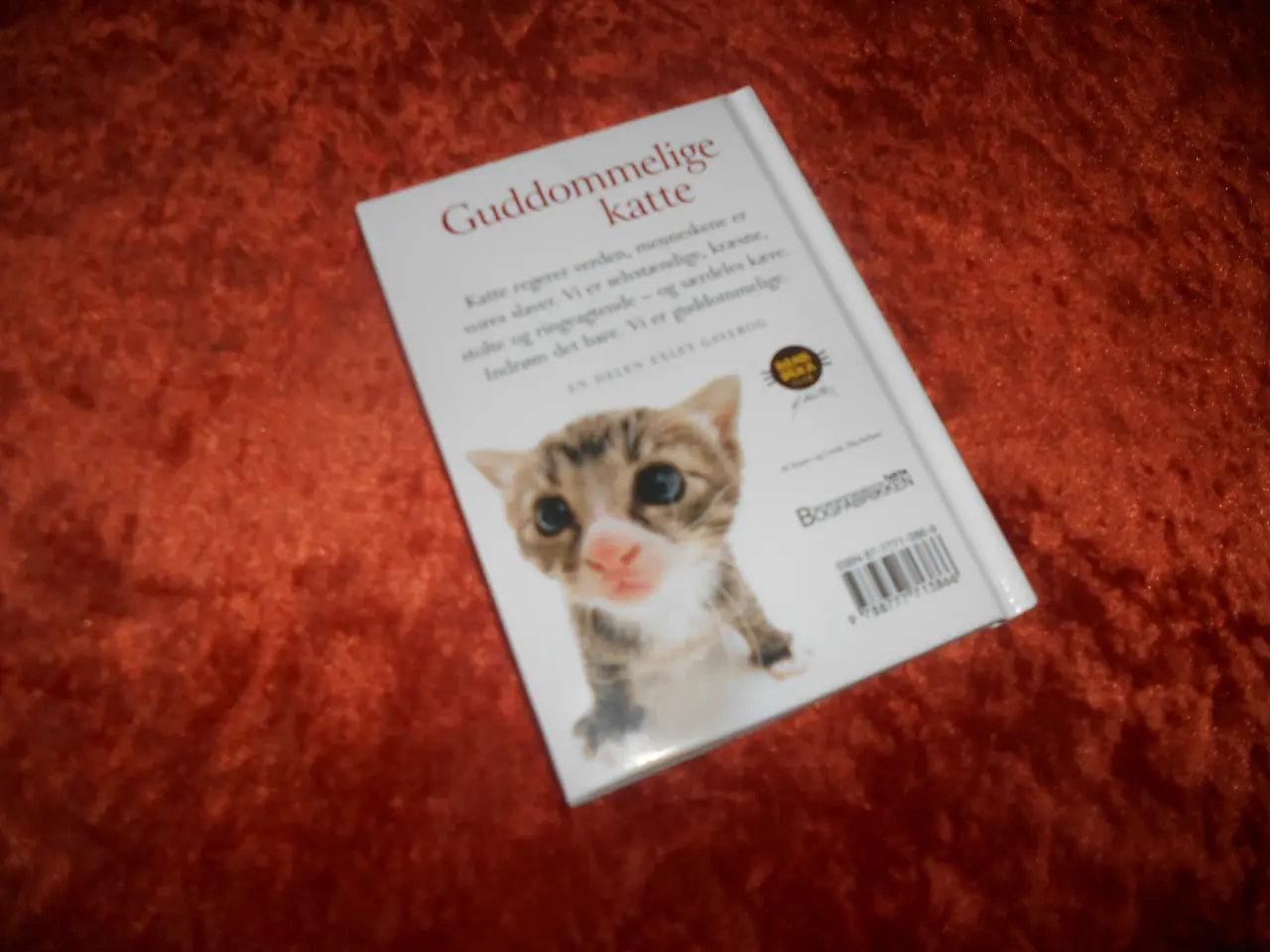 Billede 4 - Guddommelige katte, Stuart og Linda Macfarlane,