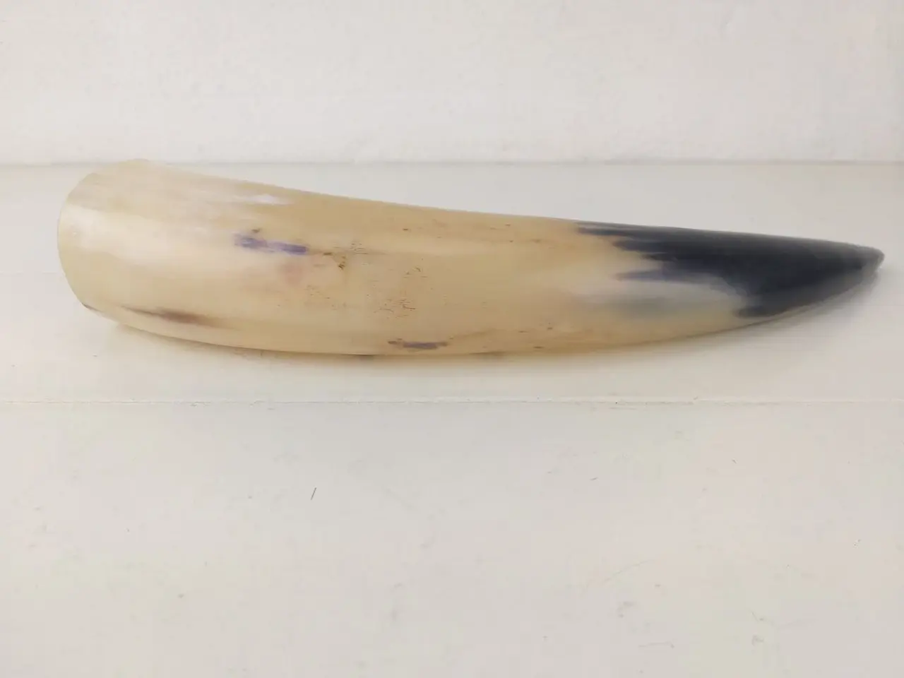 Billede 4 - Flot horn
