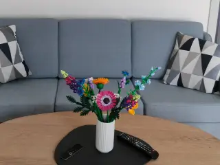 Sofa med sæbebehandlet bøgeben