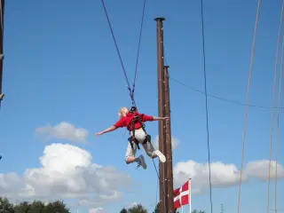 Klatrepæle sælges