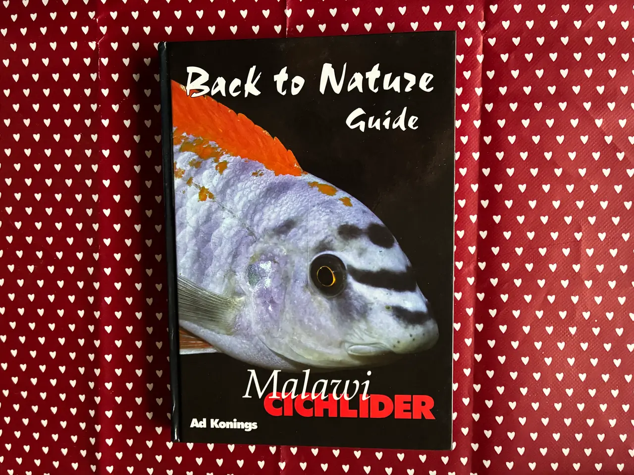 Billede 1 - Malawi Cichlider - Back to Nature Guide
