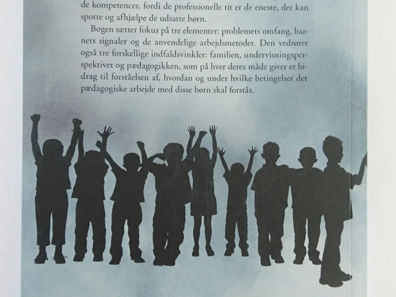 Billede 2 - Usynlige børn i risikozonen -en pædagogisk håndbog