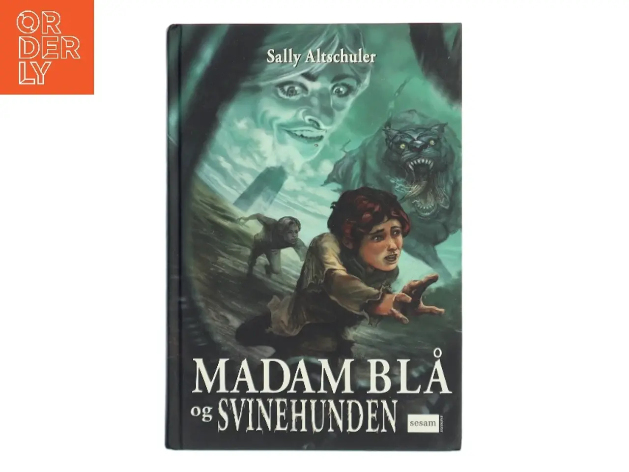 Billede 1 - Madam Blå og Svinehunden af Sally Altschuler (Bog)