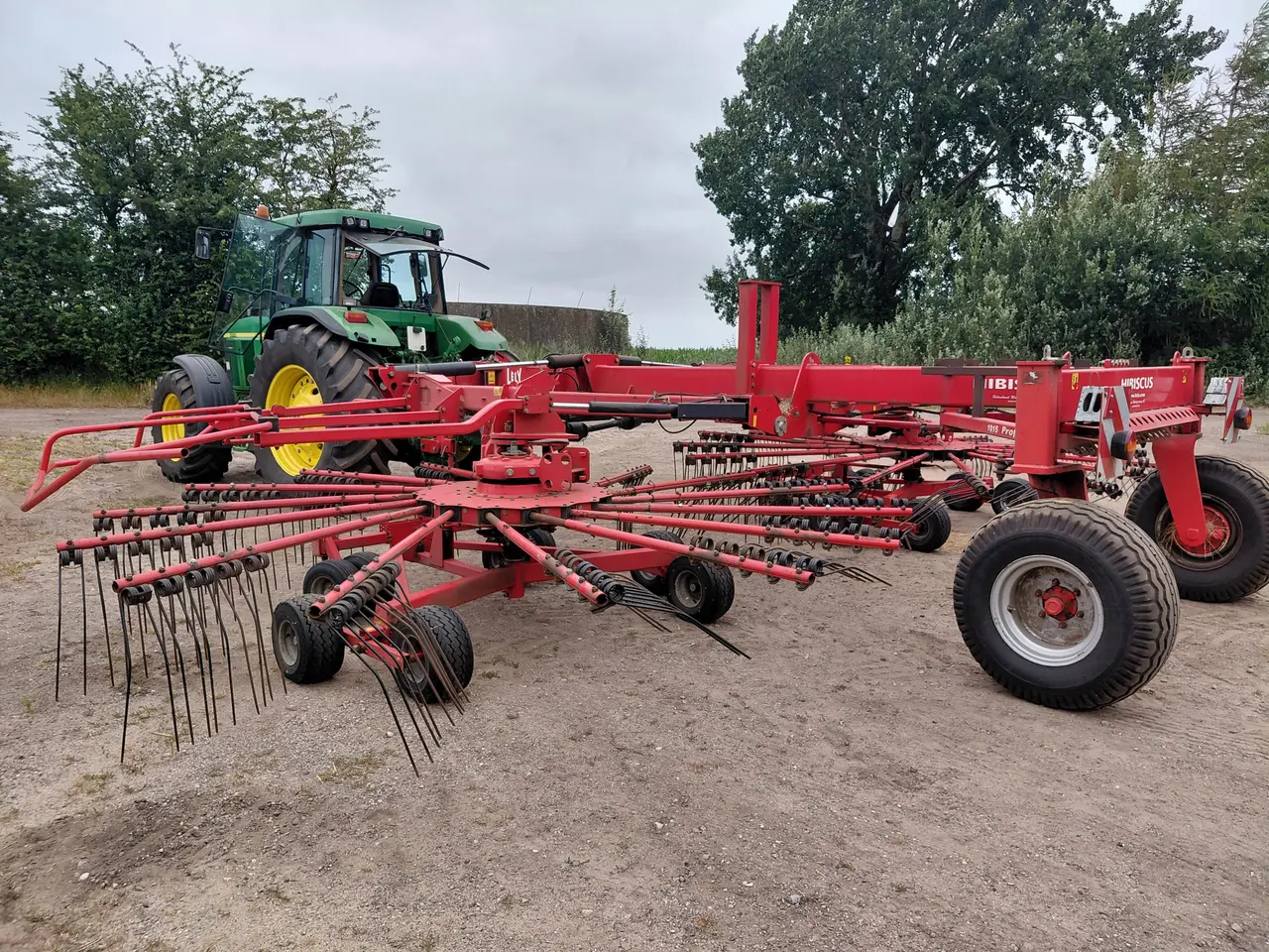 Billede 4 - Lely hibiscus 1015