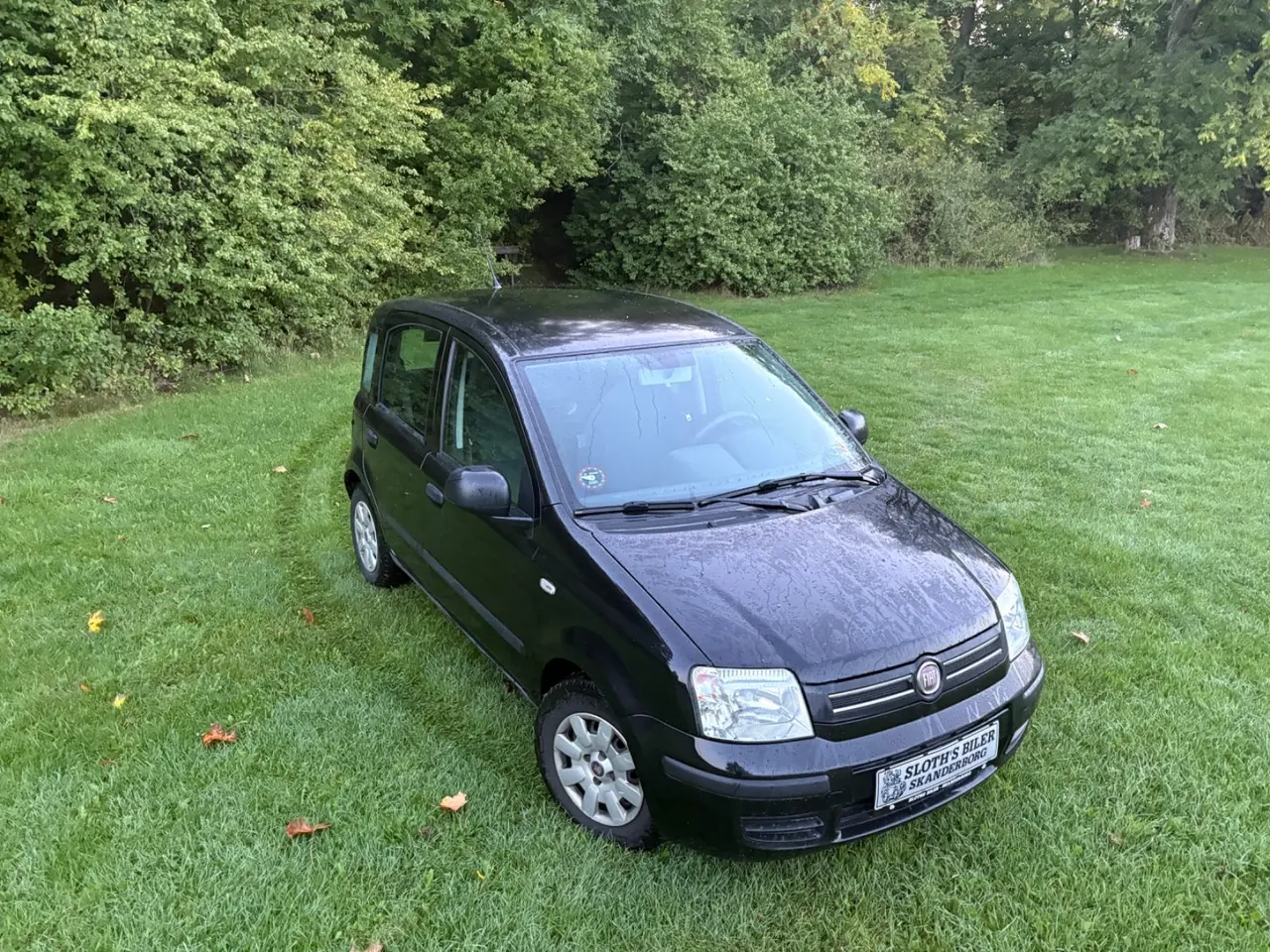 Billede 16 - Fiat Panda 1,2 69 Dynamic