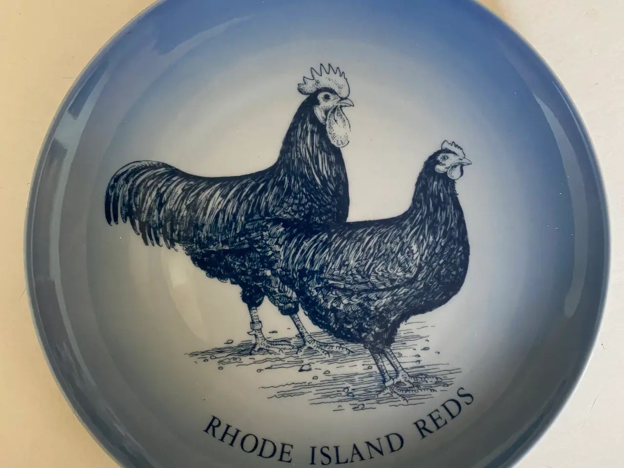 Billede 2 - Race-høns platter KUN 150kr