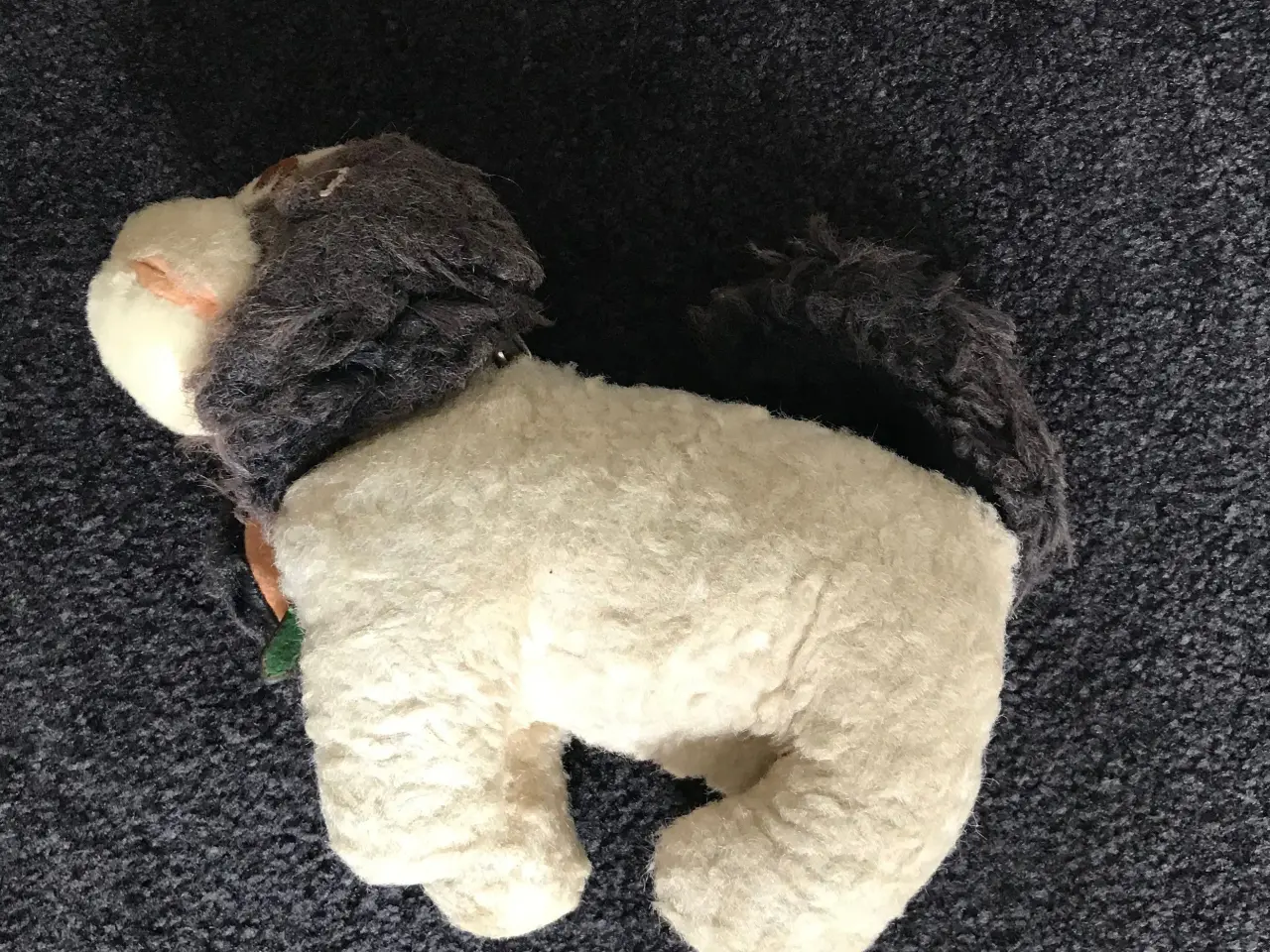 Billede 1 - Gammel bamse - hund