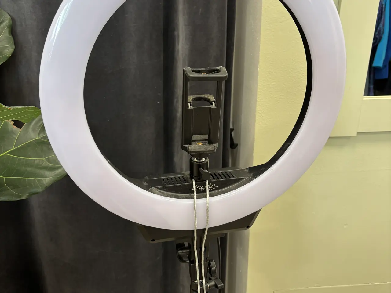 Billede 2 - Ring lys