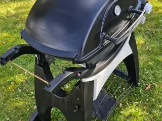 Weber Q300