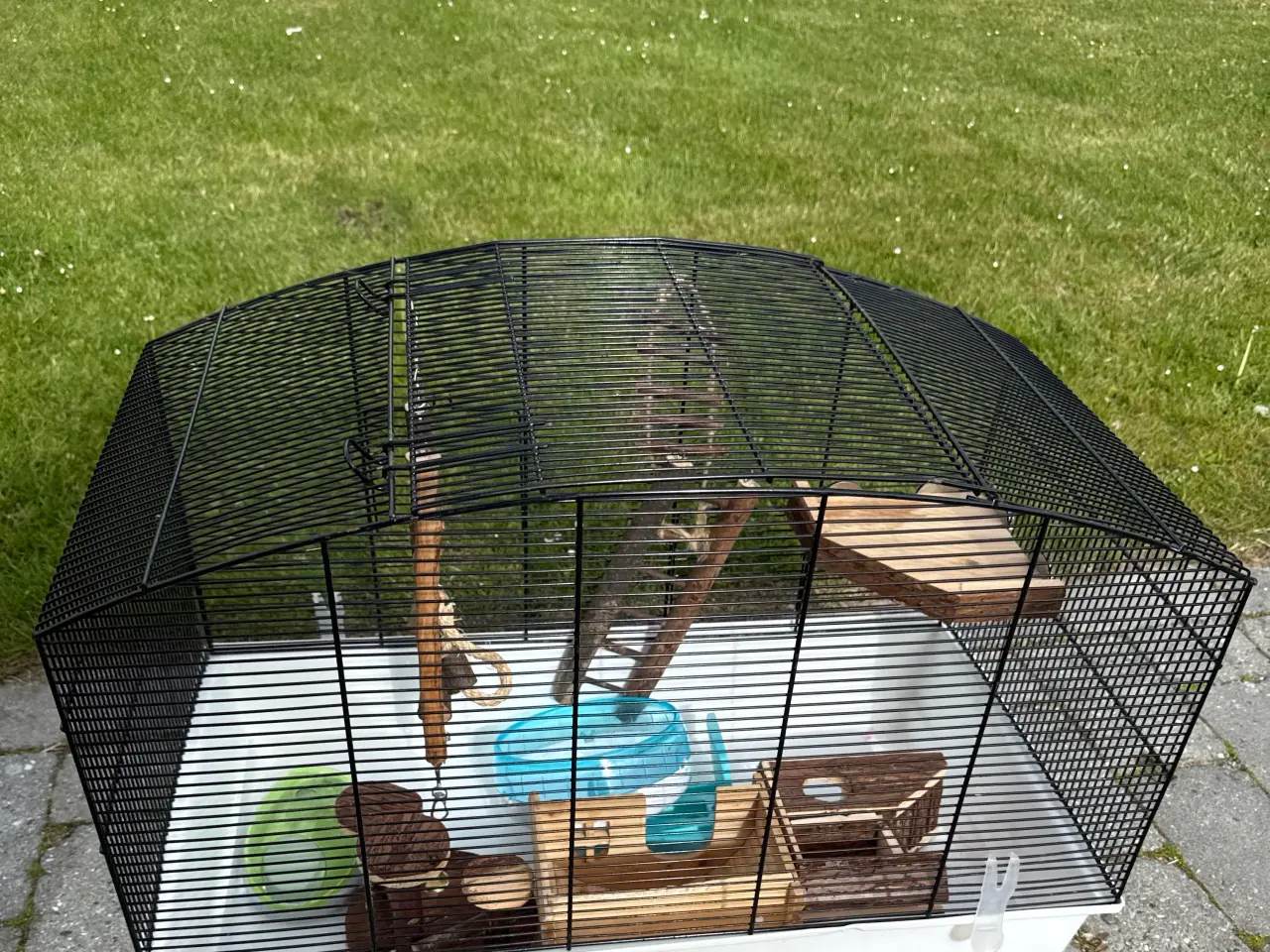 Billede 1 - Hamster bur