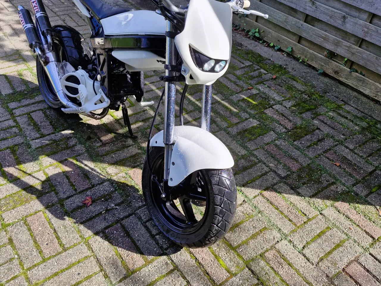 Billede 2 - Suzuki Street magic