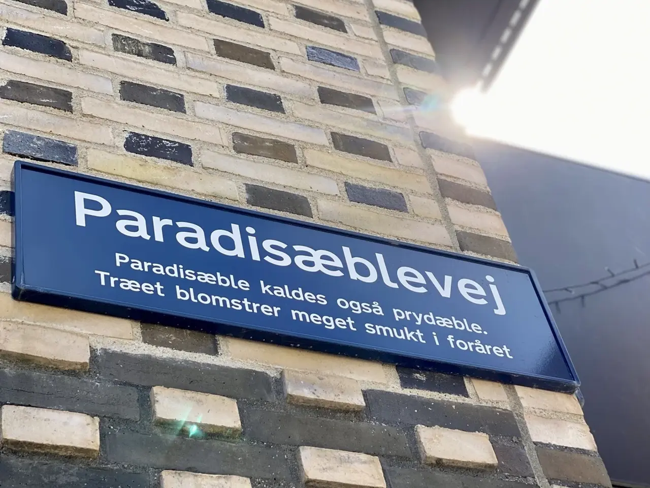 Billede 5 - 8 personers kontorsuite