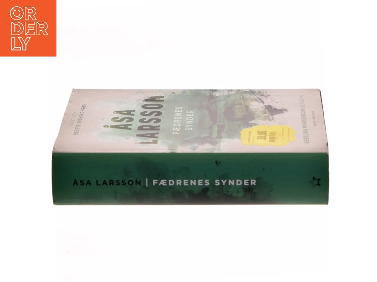 Billede 2 - Fædrenes synder af Åsa Larsson (Bog)