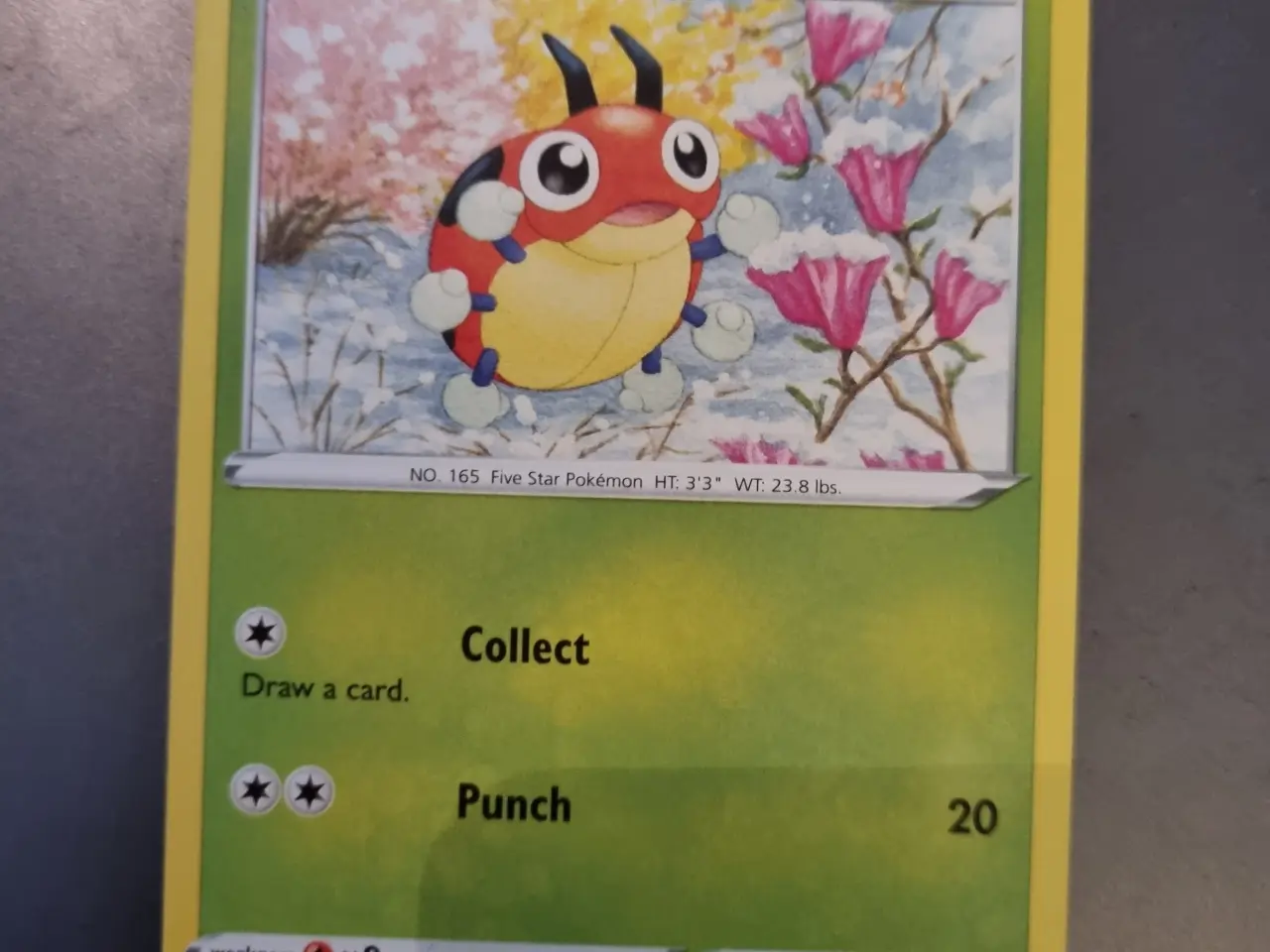 Billede 7 - Annonce 203 - Pokemon
