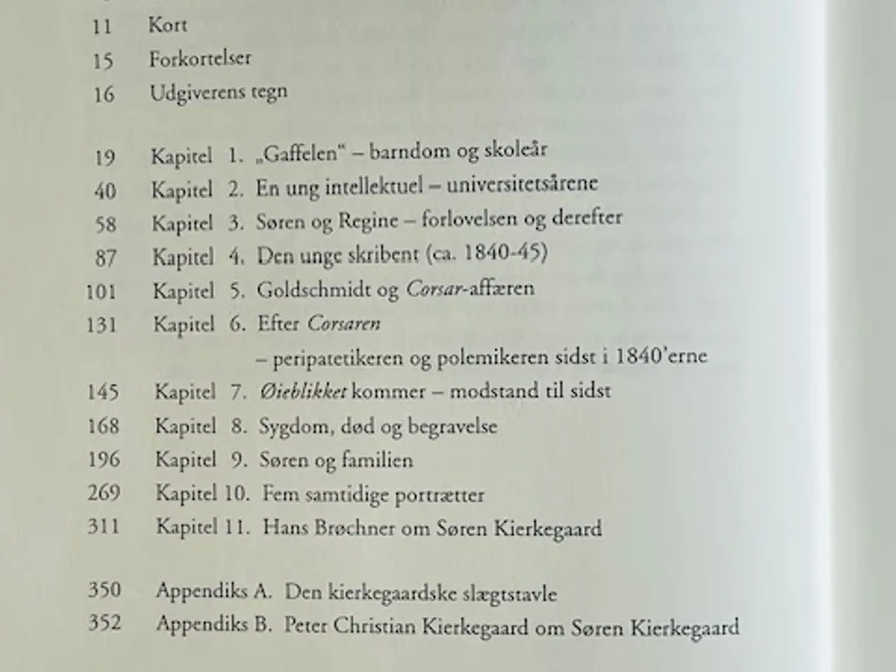 Billede 4 - Søren Kierkegaard truffet 