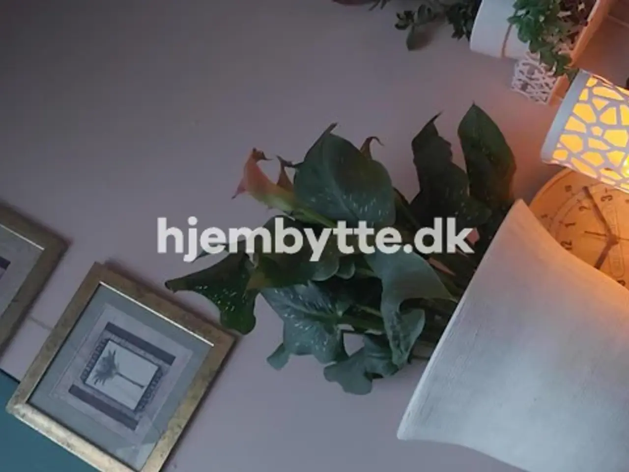 Billede 7 - Hjembytte - Rantzausgade