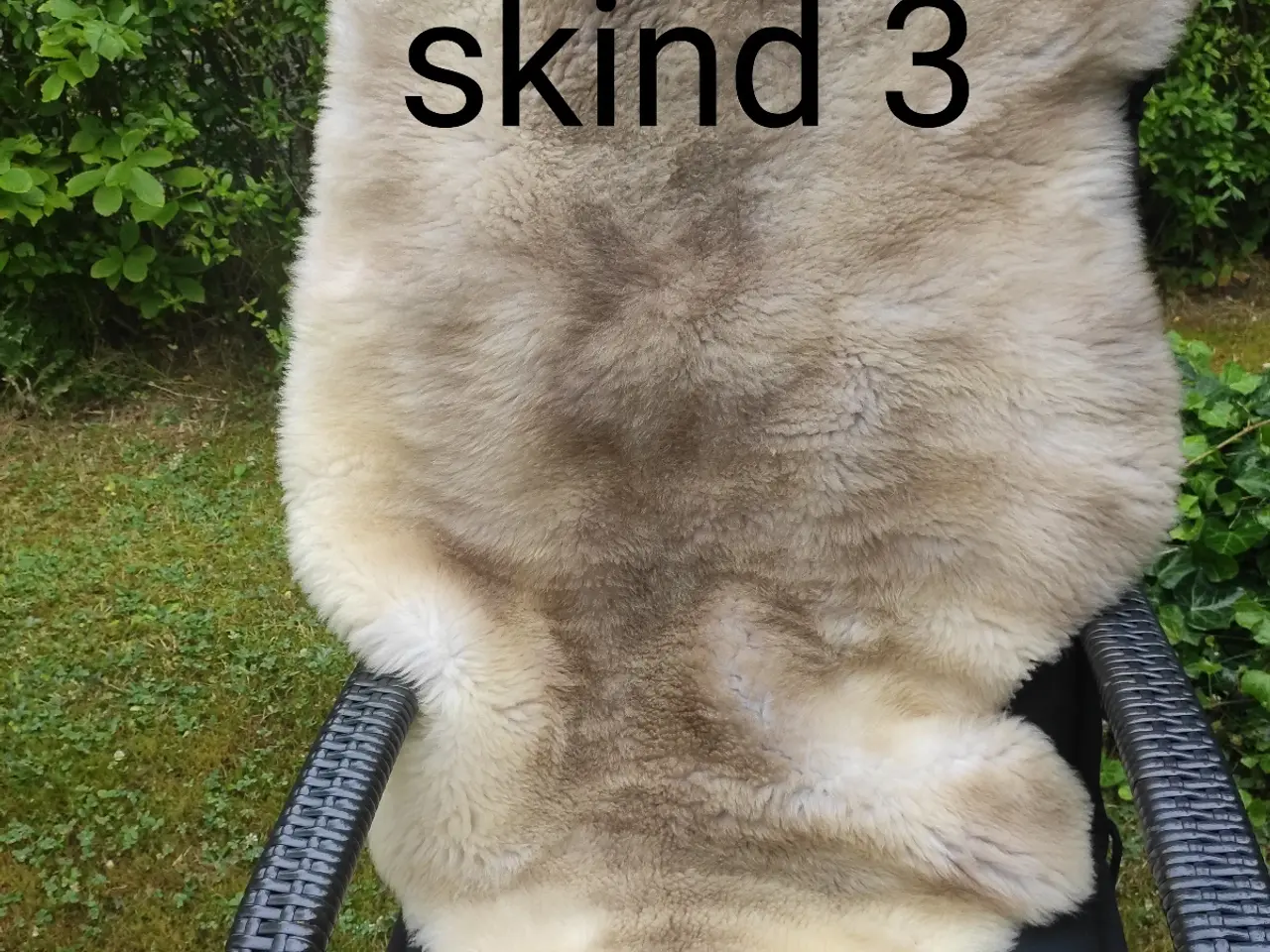 Billede 5 - Flotte lyse lammeskind - har 3 stk.