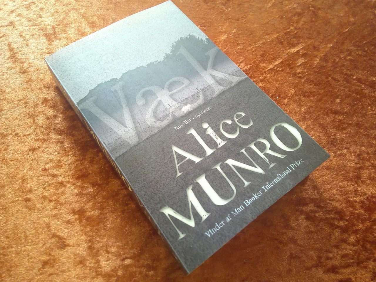 Billede 1 - Væk, Alice Munro,