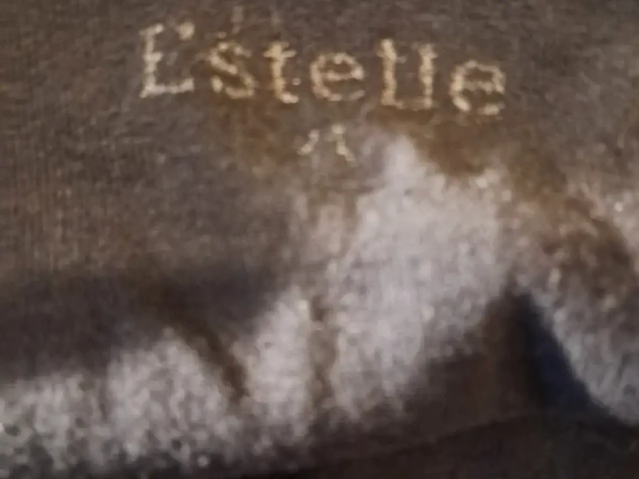 Billede 5 - Estelle str. XL top