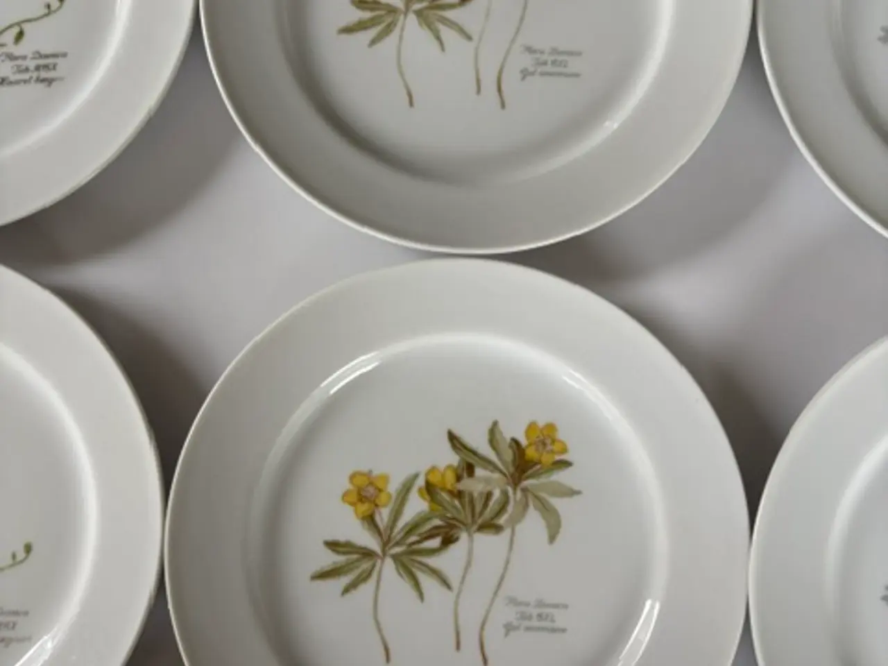 Billede 4 - 11 Flora Danica tallerkener med botaniske motiver