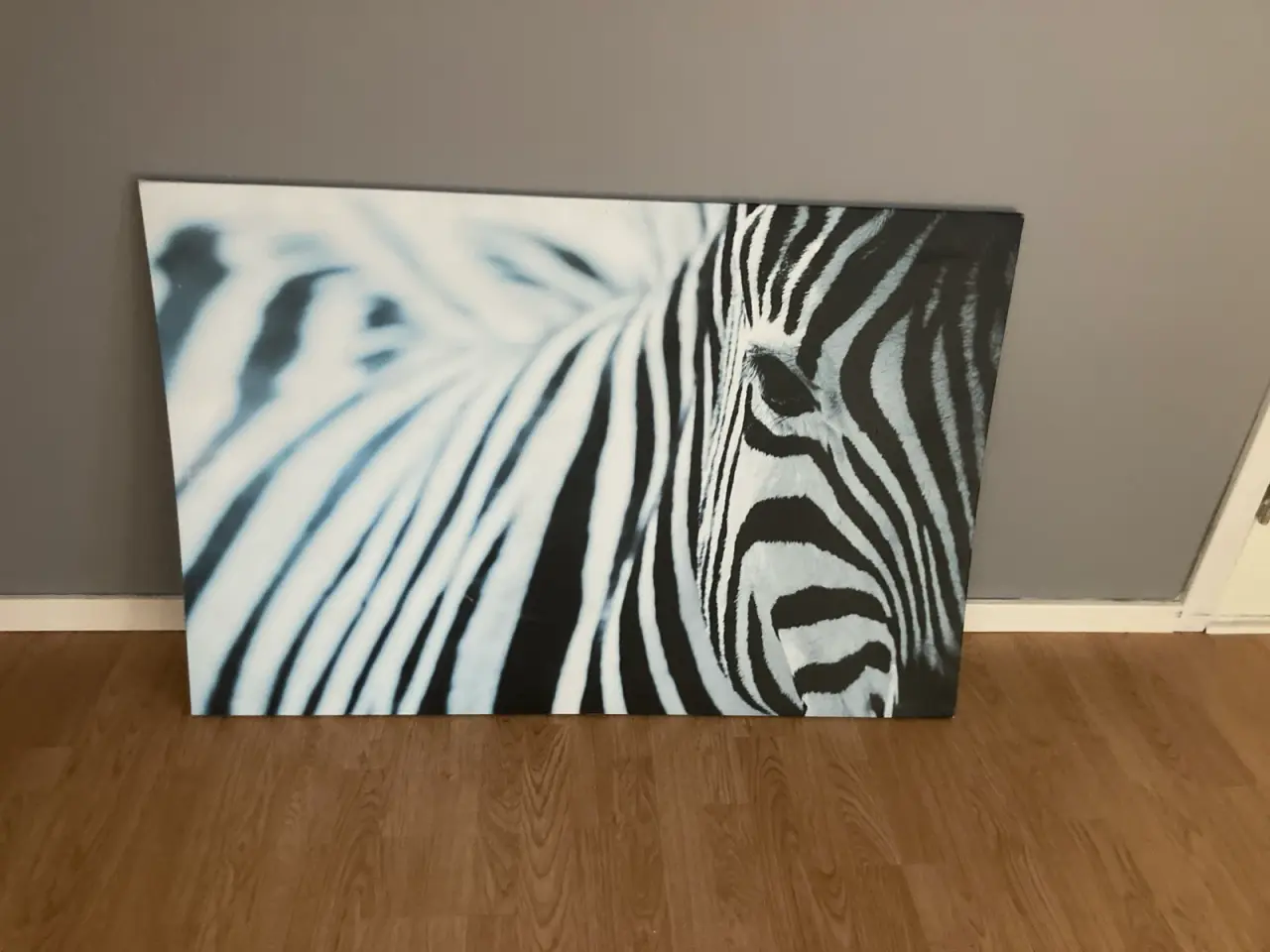Billede 1 - Flot IKEA lærredsbillede med Zevra-motiv (78x118)