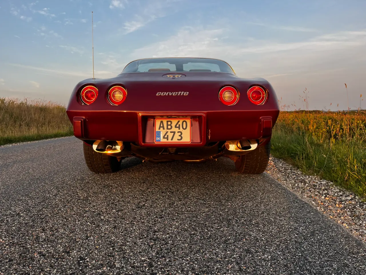 Billede 14 -  Chervolet Corvette C3 Stingray 1979 5,7 V8