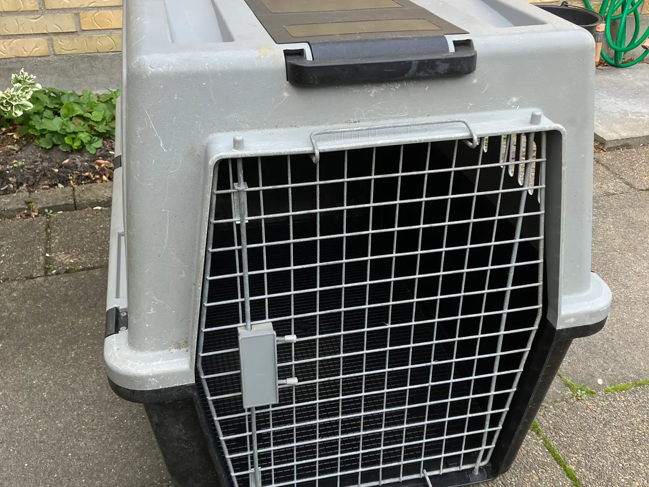 Billede 1 - Transportbur til stor hund 
