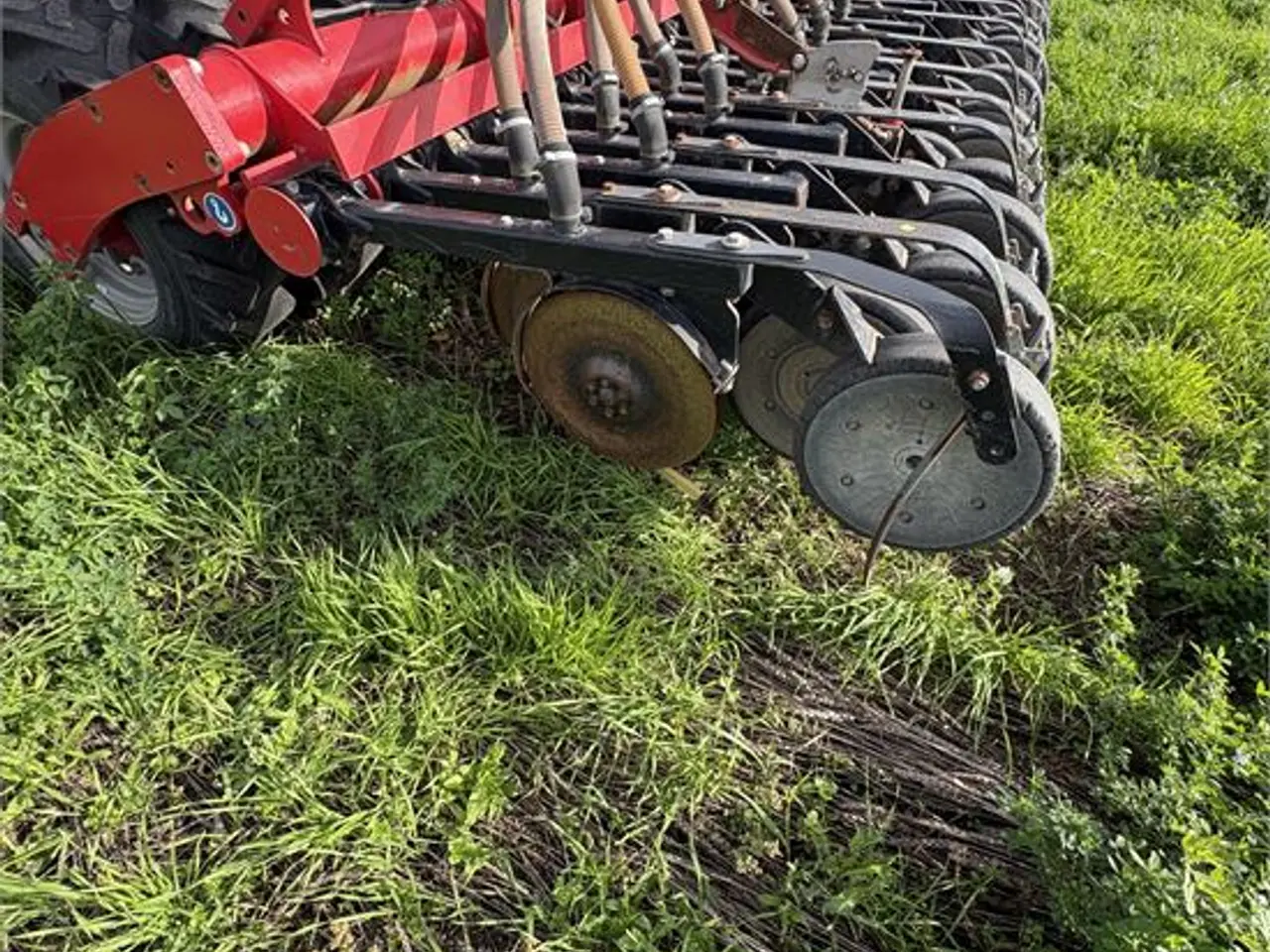 Billede 11 - Horsch Pronto 4 Dc Starr - kombi såsæt/combination seed drill