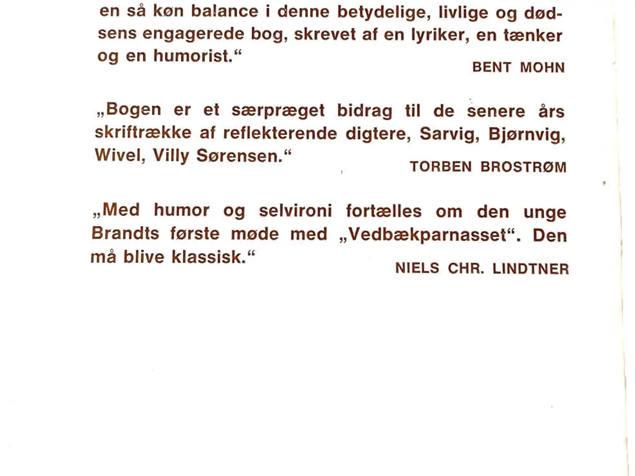 Billede 2 - Jørgen Gustava Brandt: Den geniale Monotoni, essay