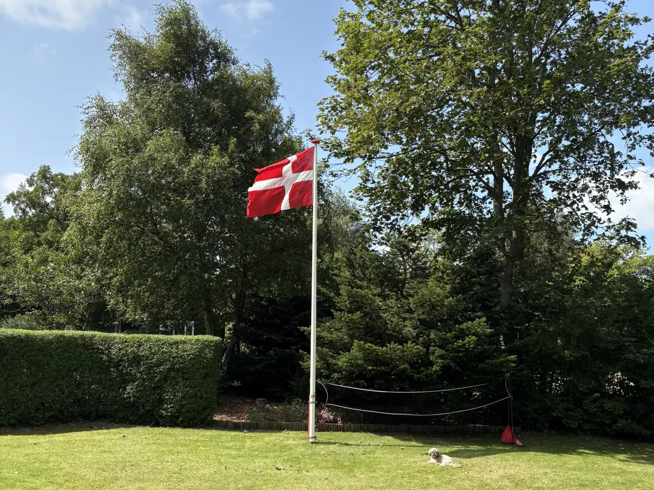 Billede 1 - Glasfiber flagstang sælges