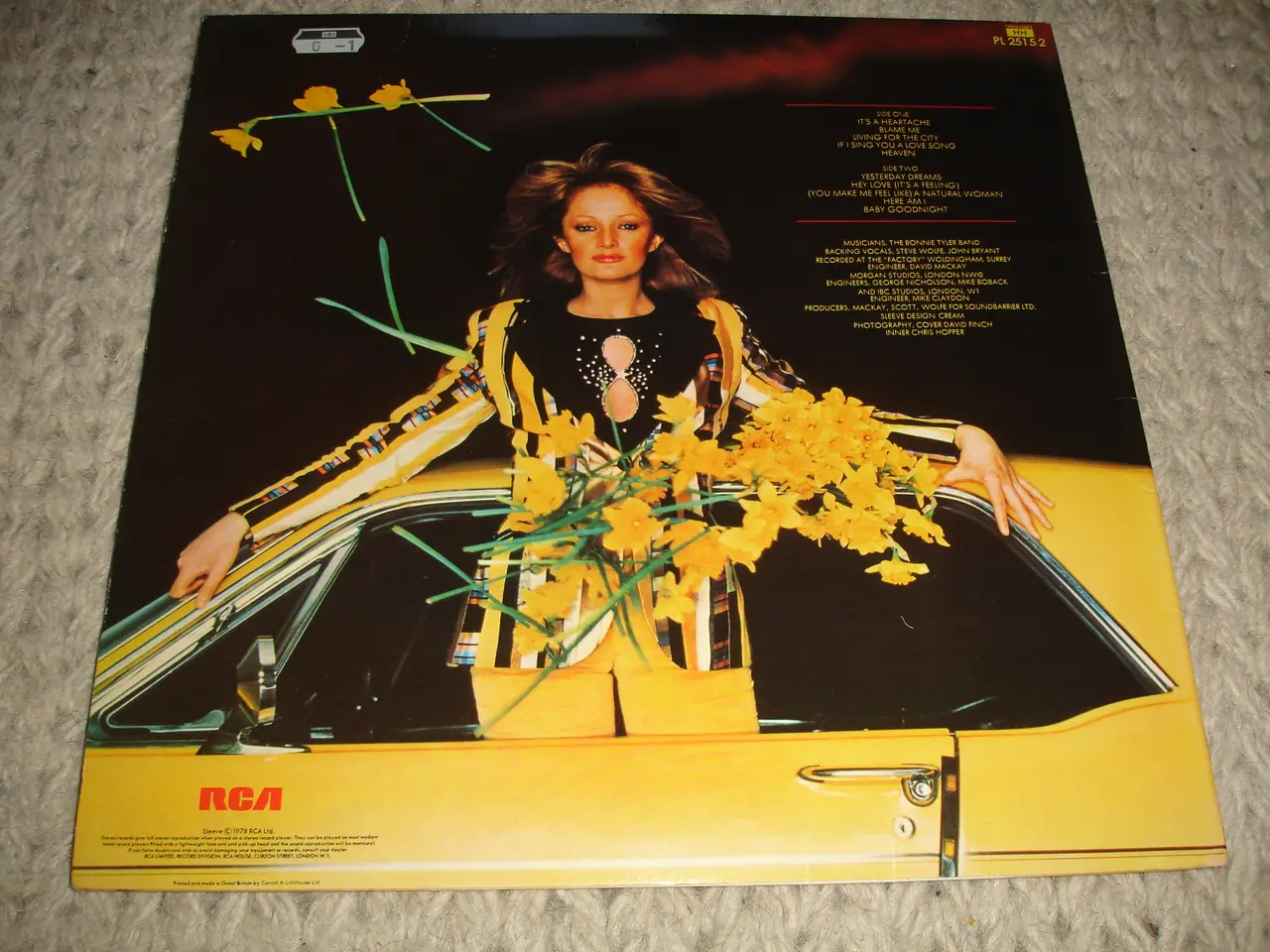 Billede 3 - (Sender gerne) Bonnie Tyler – Natural Force
