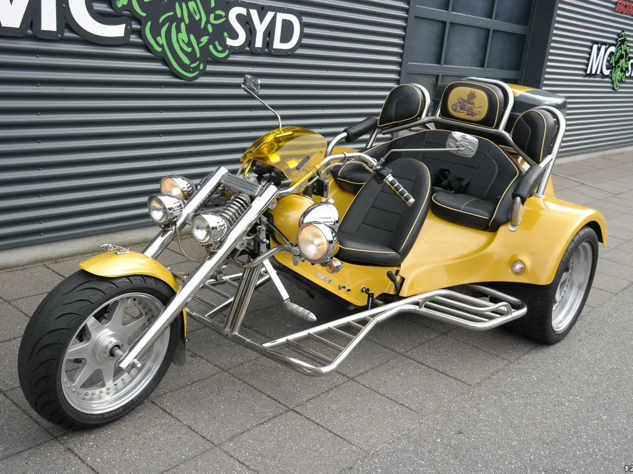 Billede 18 - Rewaco Trike MC-SYD BYTTER GERNE