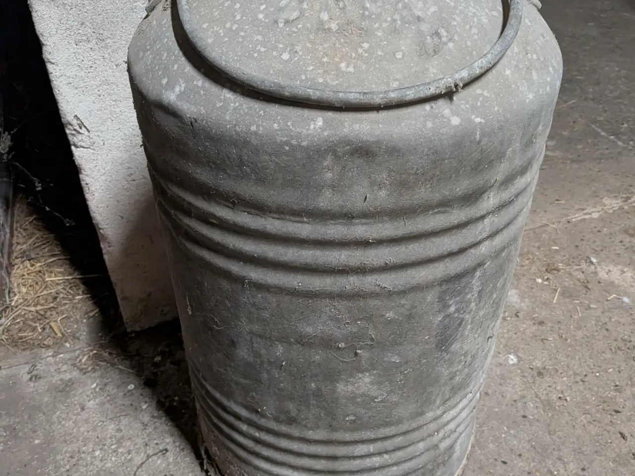 Billede 1 - Benzin/ petroleums dunk