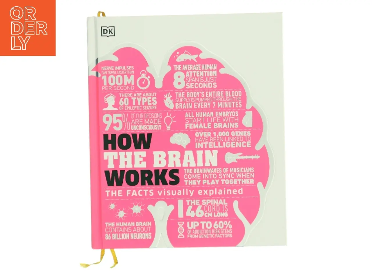 Billede 1 - How the brain works af DK (Bog)
