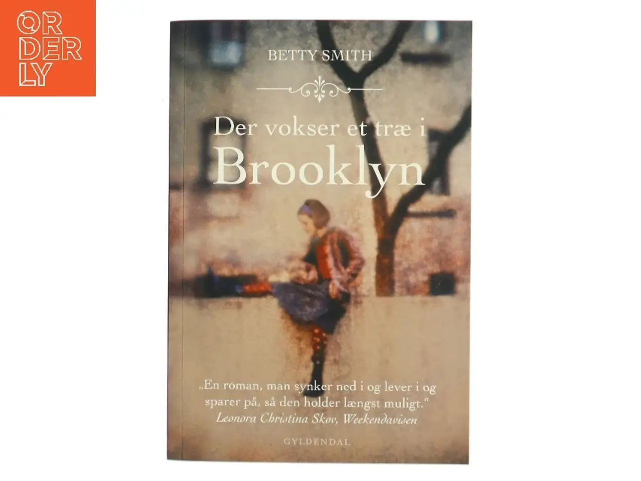 Billede 1 - Der vokser et træ i Brooklyn : roman (Ved Anders Juul Michelsen) af Betty Smith (Bog)