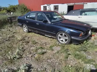 Bmw 520i 24v