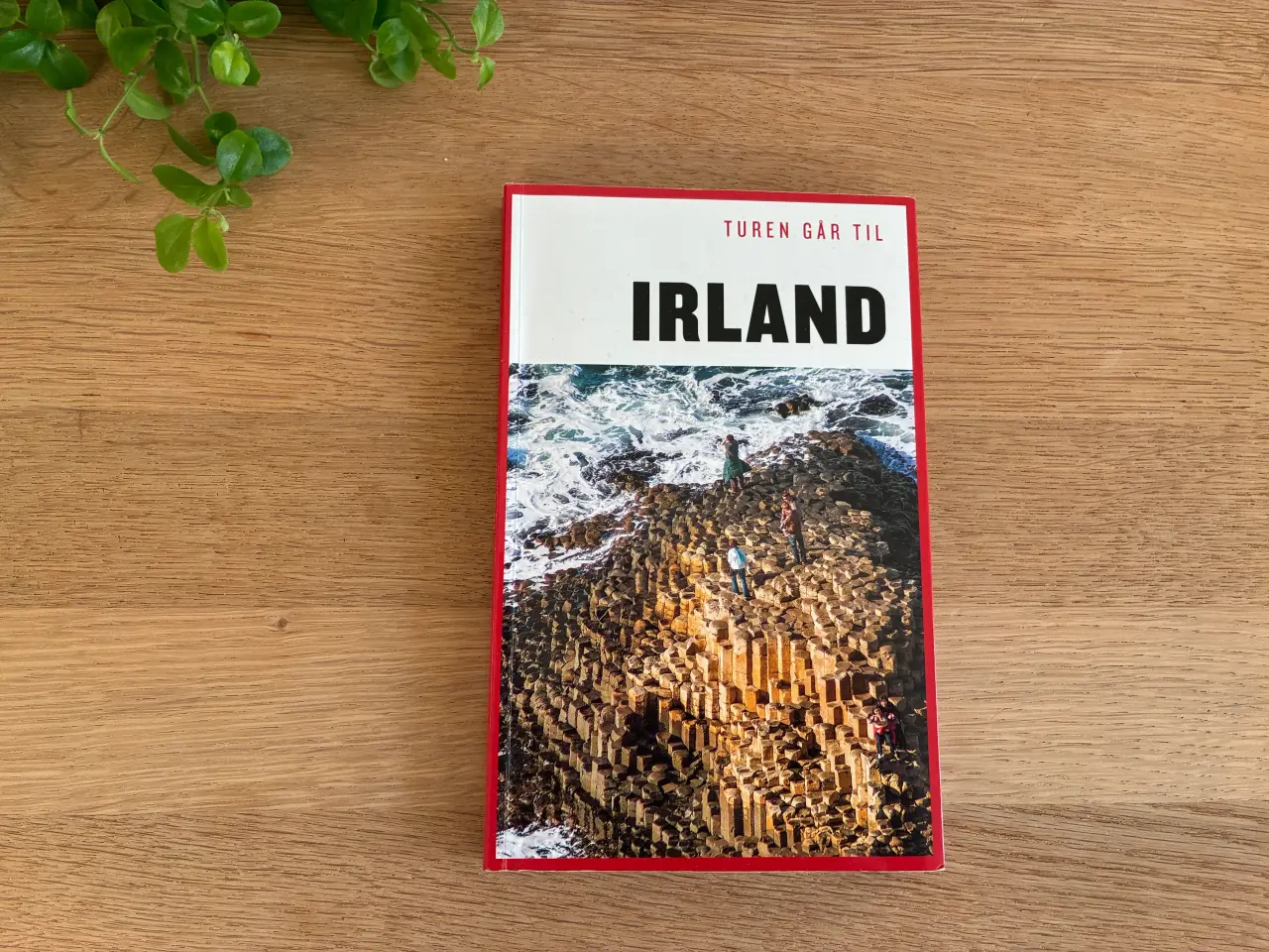 Billede 1 - Turen går til IRLAND