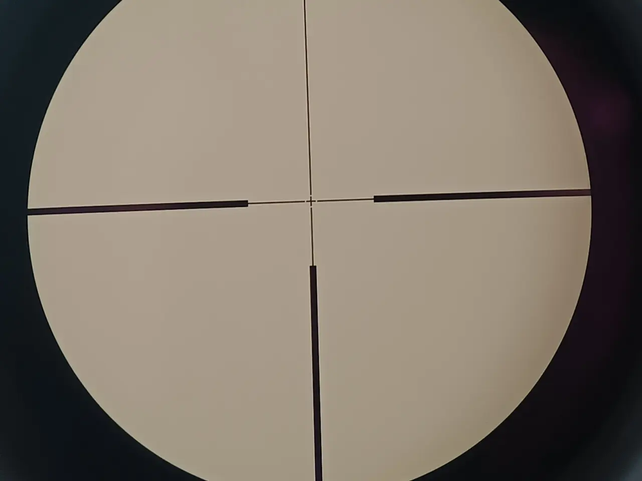 Billede 7 - Sauer 202 30.06 m. Zeiss Diavari